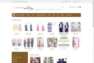 dsvclothes.com